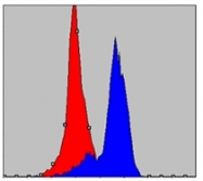AM06506SU-N - COX IV isoform 1