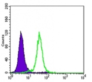 AM06535SU-N - CD324 / Cadherin-1