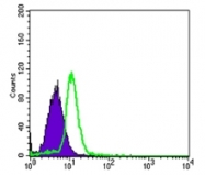 AM06539SU-N - Osteoprotegerin / TNFRSF11B