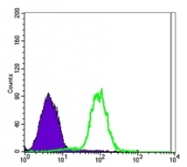 AM06560SU-N - Carbonic anhydrase 9