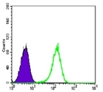AM06570SU-N - Glucocorticoid receptor