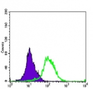 AM06572SU-N - Aurora kinase A