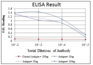 AM06595SU-N - Beclin-1