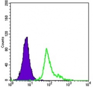 AM06633SU-N - CD105 / Endoglin