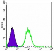 AM06639SU-N - HSP90AB1 / HSP90 beta