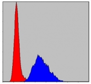 AM06686SU-N - Fast skeletal muscle Troponin I