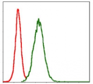 AM06715PU-N - MMP-3
