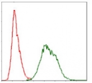 AM06722PU-N - Ubiquitin