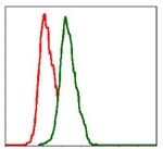 AM06734PU-N - CD29 / Integrin beta-1
