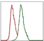 AM06737PU-N - Alkaline phosphatase / ALPL