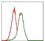 AM06739PU-N - Insulin promoter factor 1