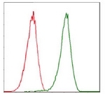 AM06741PU-N - CDK2