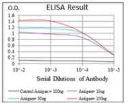 AM06744PU-N - RPA1
