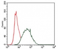 AM06747PU-N - Cytokeratin 5