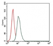 AM06752PU-N - Hyaluronic acid synthase 3 / HAS3