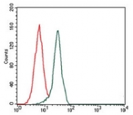 AM06754SU-N - Fibronectin