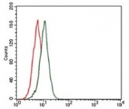 AM06755PU-N - Fibronectin