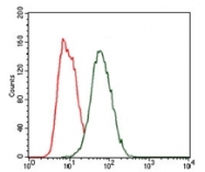 AM06756PU-N - Beta-hexosaminidase alpha / HEXA