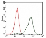 AM06757PU-N - Insulin promoter factor 1
