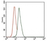 AM06777PU-N - Delta-like protein 4 / DLL4