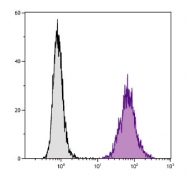 AM08084FC-N - CD86