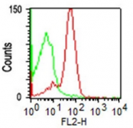 AM08160PU-T - CD43 / Leukosialin