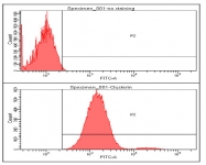 AM09004PU-N - Apolipoprotein J / Apo J