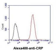AM09005PU-N - C-reactive protein (CRP)