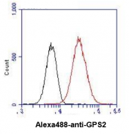 AM09013PU-N - GPS2