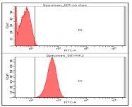 AM09014PU-N - Hexokinase-3