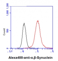 AM09033PU-N - Alpha-Synuclein / SNCA