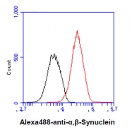 AM09033PU-N - Alpha-Synuclein / SNCA