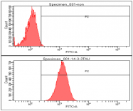 AM09060PU-N - 14-3-3 protein theta