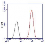 AM09080PU-N - Myosin light chain 2 (MYL2)