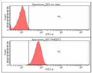 AM09087PU-N - Tomoregulin-2 / TMEFF2