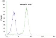 AM09111PU-N - Mesothelin