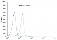 AM09115PU-N - Cytokeratin 18
