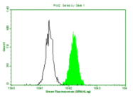AM09268PU-N - C-reactive protein (CRP)