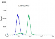 AM09341PU-N - Rhombotin-2