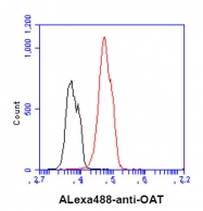 AM09362PU-N - OAT