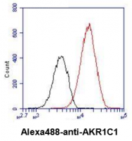 AM09389PU-N - AKR1C1 / DHH1