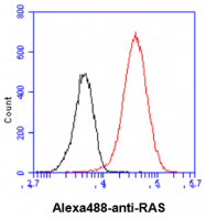 AM09391PU-N - RAS