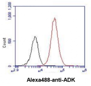 AM09394PU-N - Adenosine kinase