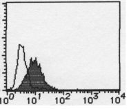 AM10149PU-N - CD321 / JAM1