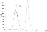AM11106PU-S - CD43 / Leukosialin