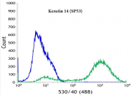 AM11164PU-S - Cytokeratin 14
