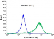AM11167PU-M - Cytokeratin 5
