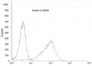 AM12072PU-N - Cytokeratin 17