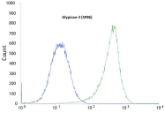 AM12128PU-N - Glypican-3 / GPC3