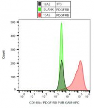 AM12129PU-N - CD140b / PDGFRB